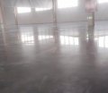 _0019_石家庄新兴医药项目 施工金刚砂固化整体地坪